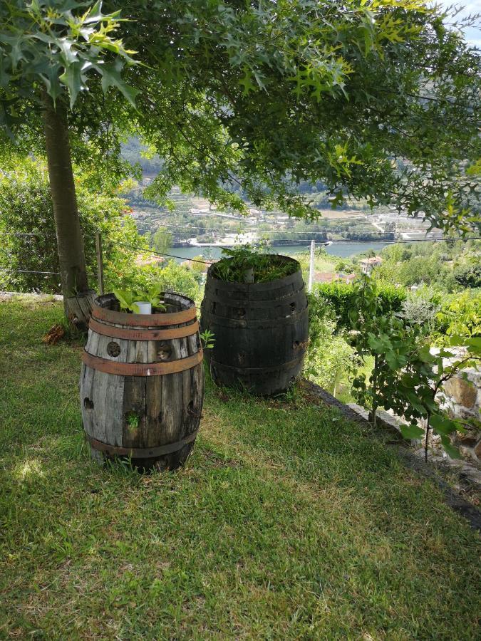 Вілла Encosta Do Douro - Rio Douro Сінфайнш Екстер'єр фото